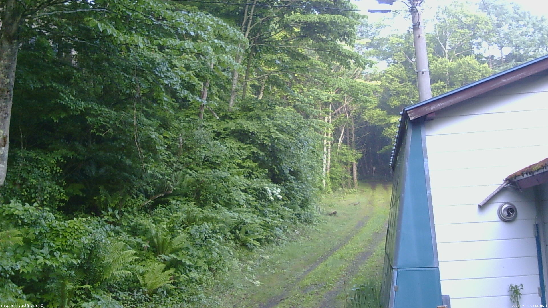 長野県菅平高原 ゆたか山荘 ゆたか山荘 2026/06/19 05:00