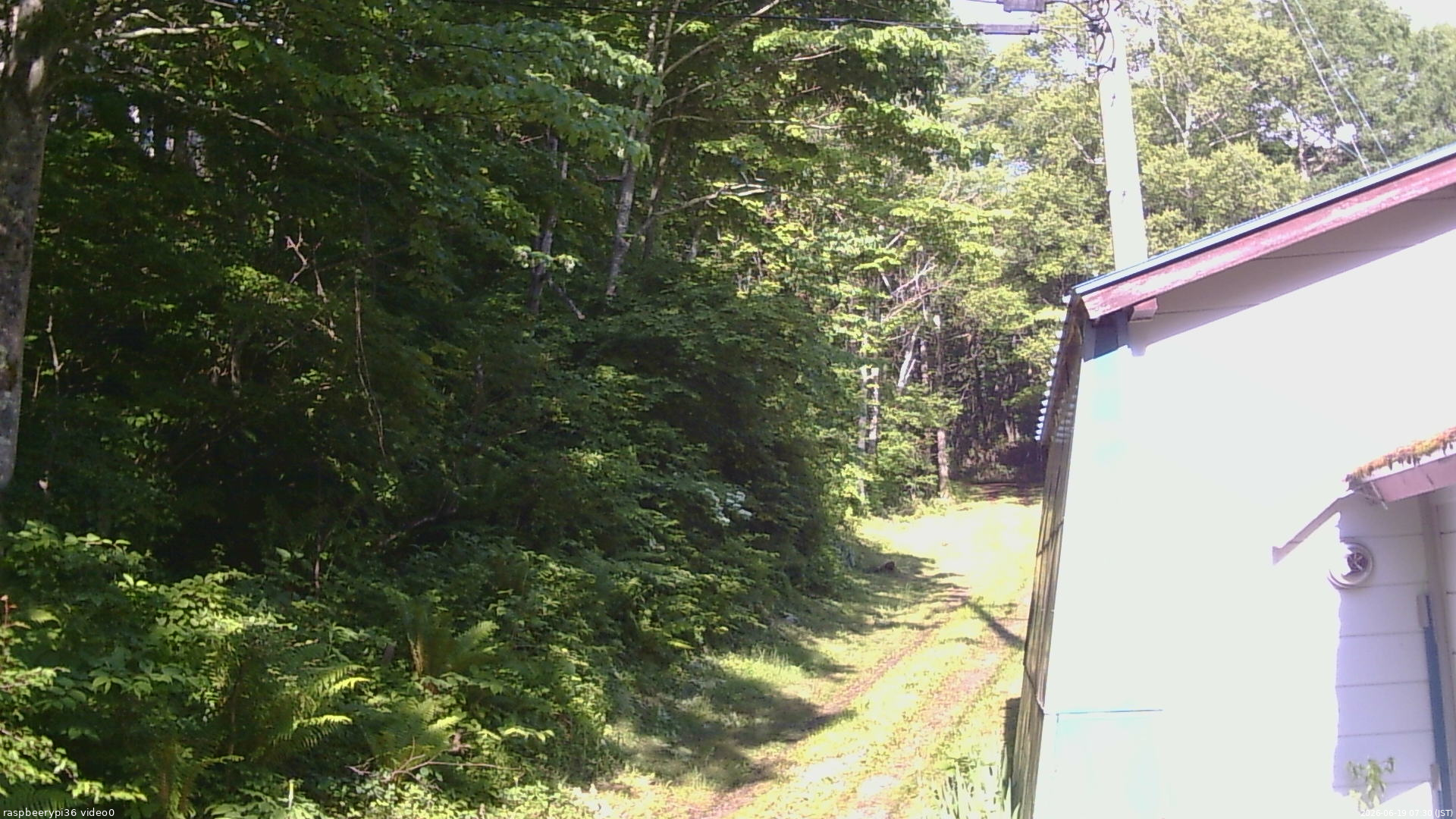長野県菅平高原 ゆたか山荘 ゆたか山荘 2026/06/19 07:30