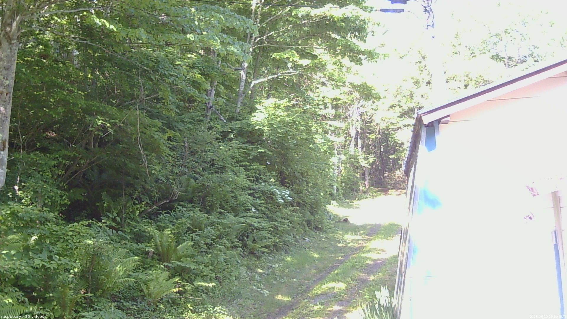 長野県菅平高原 ゆたか山荘 ゆたか山荘 2026/06/19 09:00