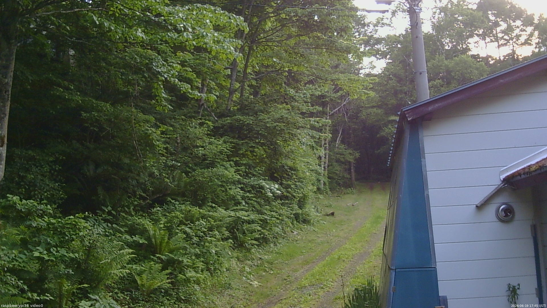 長野県菅平高原 ゆたか山荘 ゆたか山荘 2026/06/19 17:45