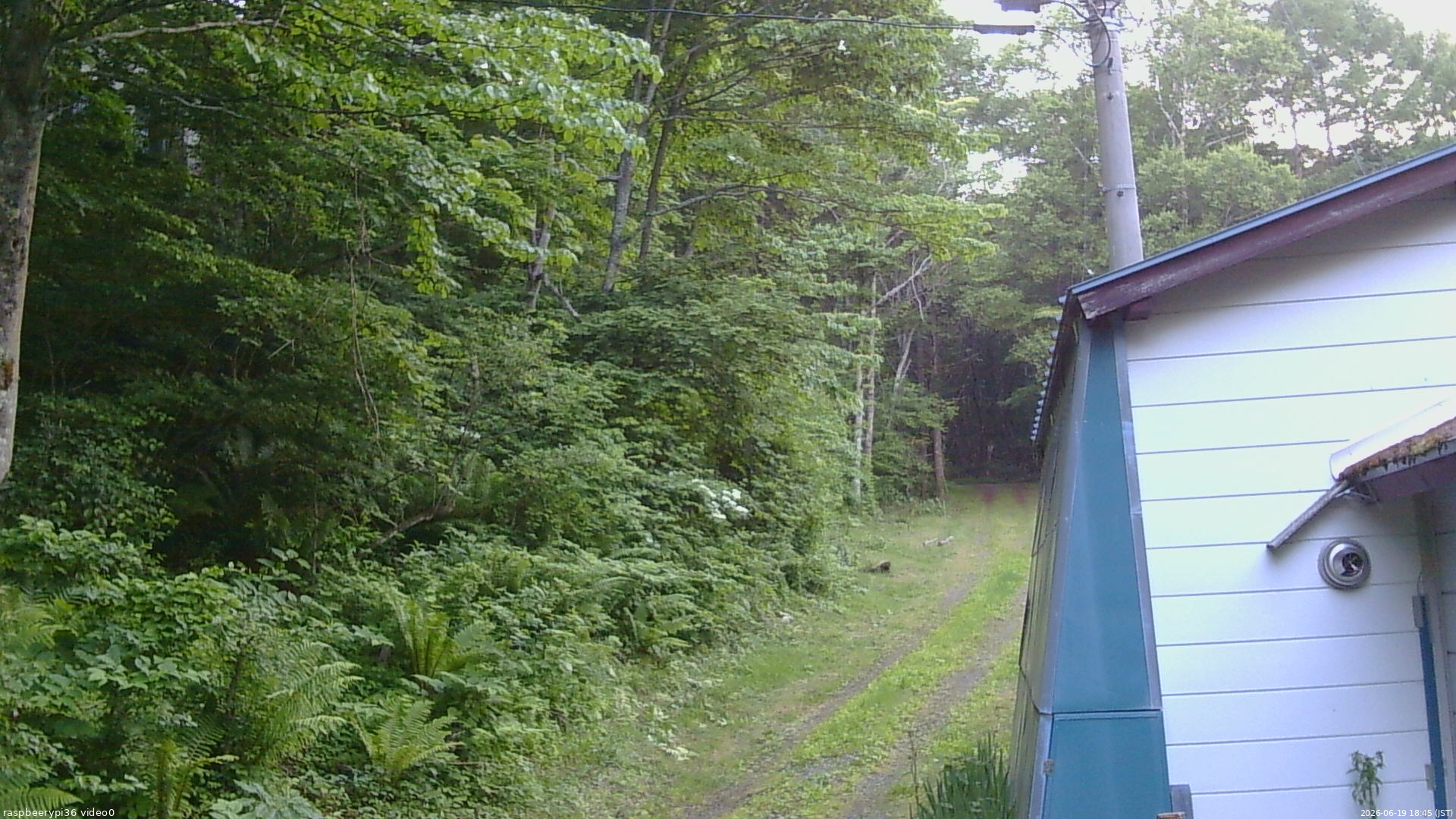 長野県菅平高原 ゆたか山荘 ゆたか山荘 2026/06/19 18:45