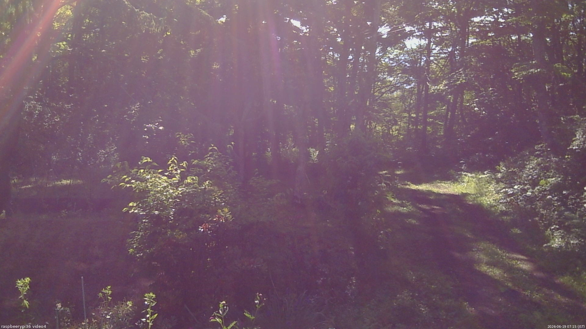長野県菅平高原 ゆたか山荘 坂上 2026/06/19 07:15
