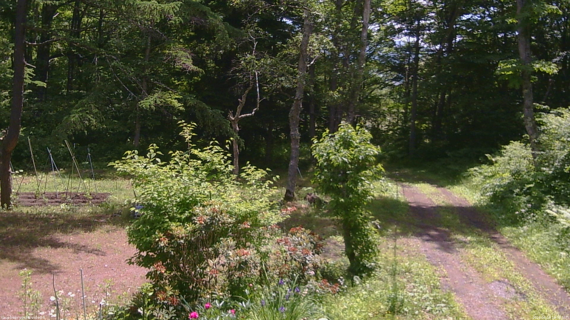 長野県菅平高原 ゆたか山荘 坂上 2026/06/19 10:30