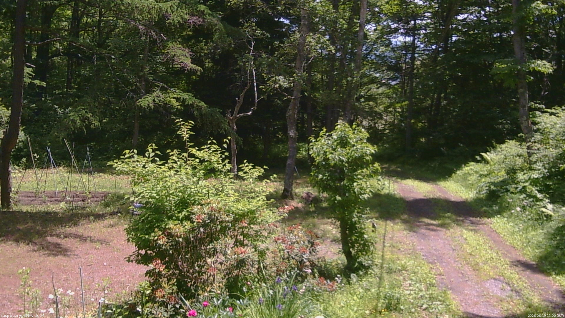 長野県菅平高原 ゆたか山荘 坂上 2026/06/19 11:00
