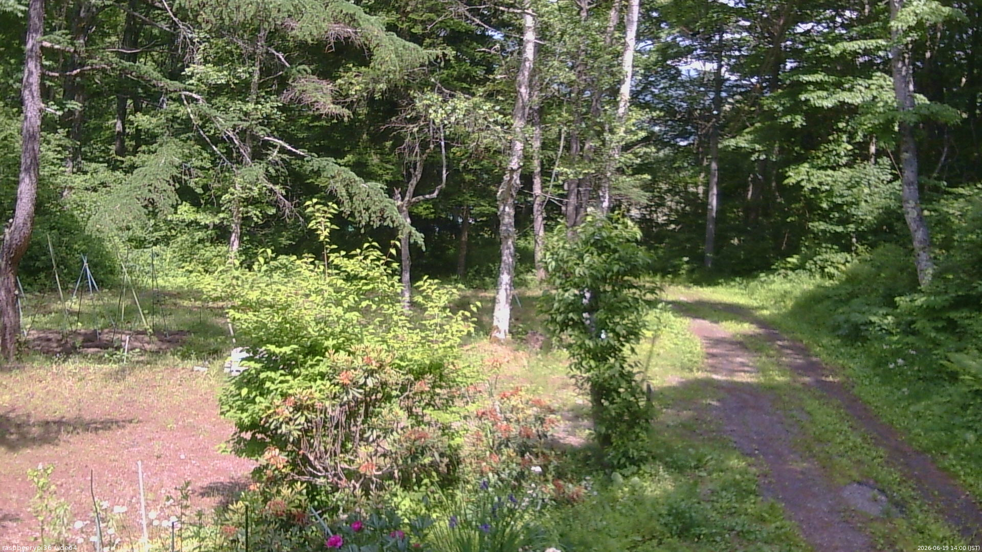 長野県菅平高原 ゆたか山荘 坂上 2026/06/19 14:00