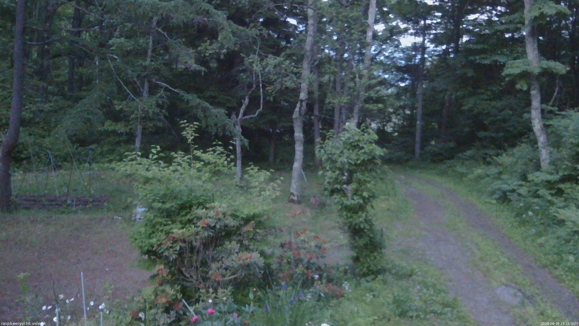 長野県菅平高原 ゆたか山荘 坂上 2026/06/19 19:15