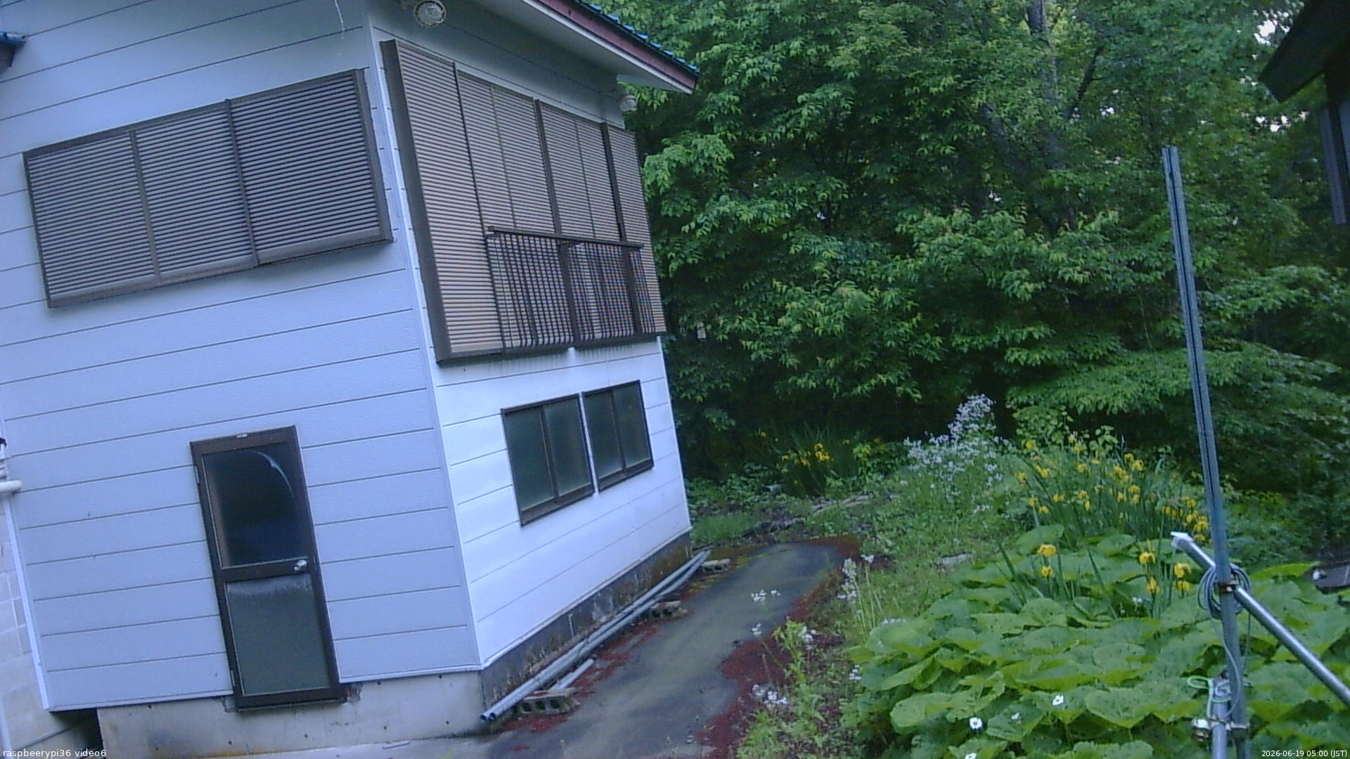 長野県菅平高原 ゆたか山荘 坂下 2026/06/19 05:00