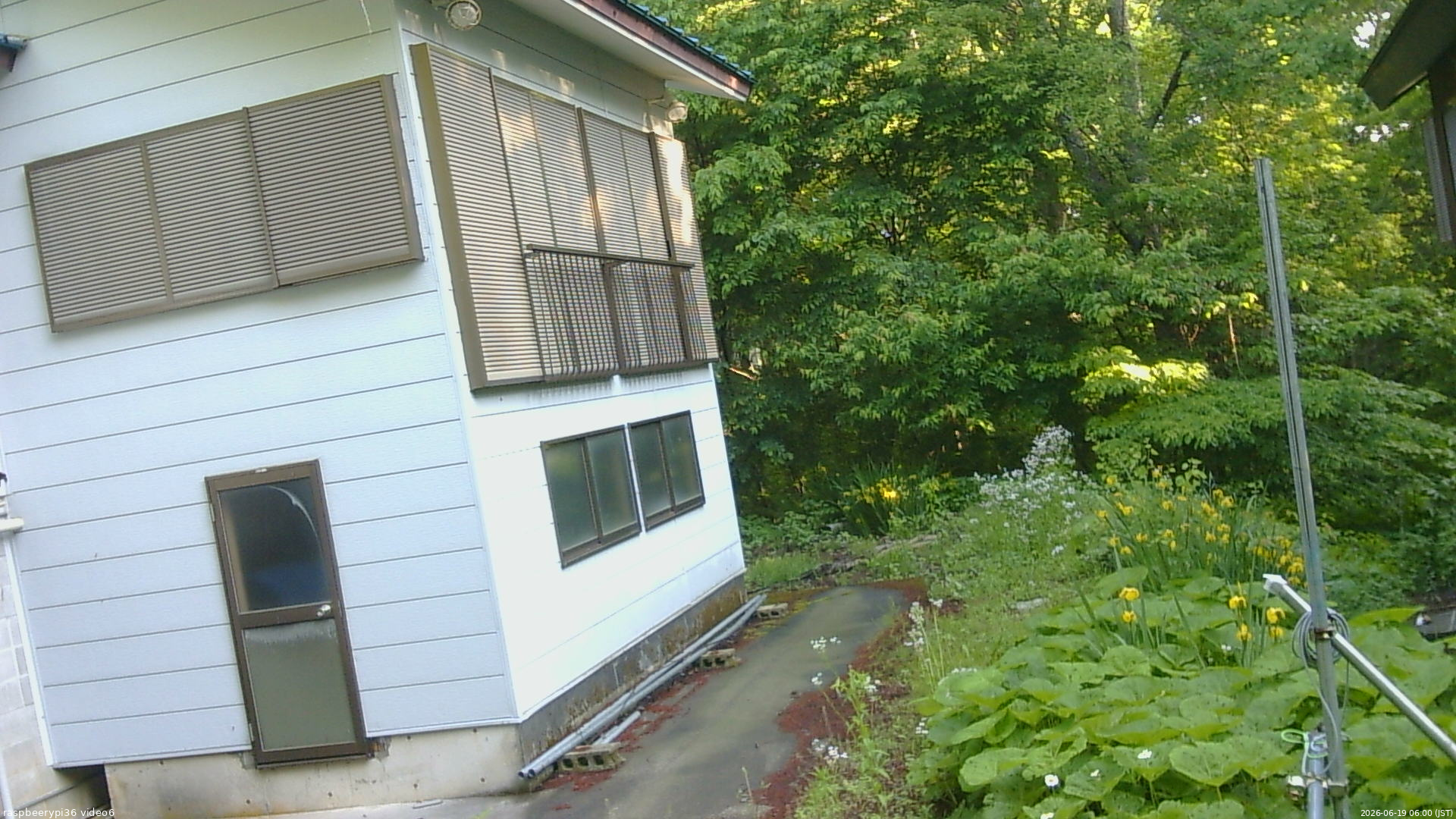 長野県菅平高原 ゆたか山荘 坂下 2026/06/19 06:00
