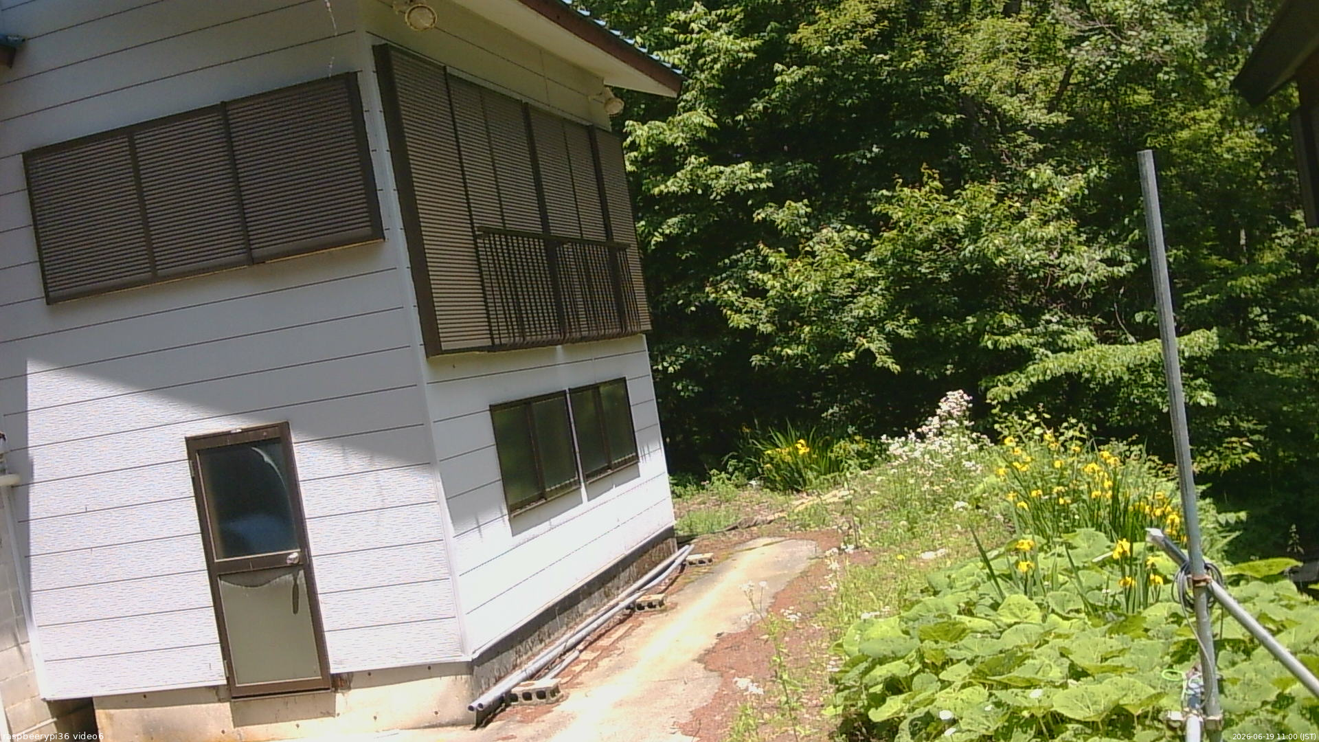 長野県菅平高原 ゆたか山荘 坂下 2026/06/19 11:00