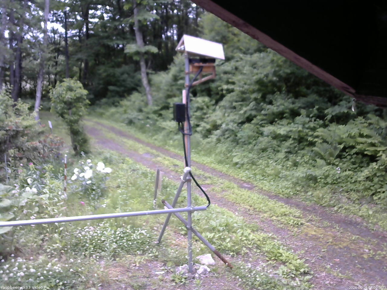 長野県菅平高原 ゆたか山荘 南側 2026/06/20 08:00