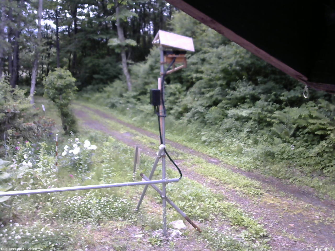 長野県菅平高原 ゆたか山荘 南側 2026/06/20 08:30