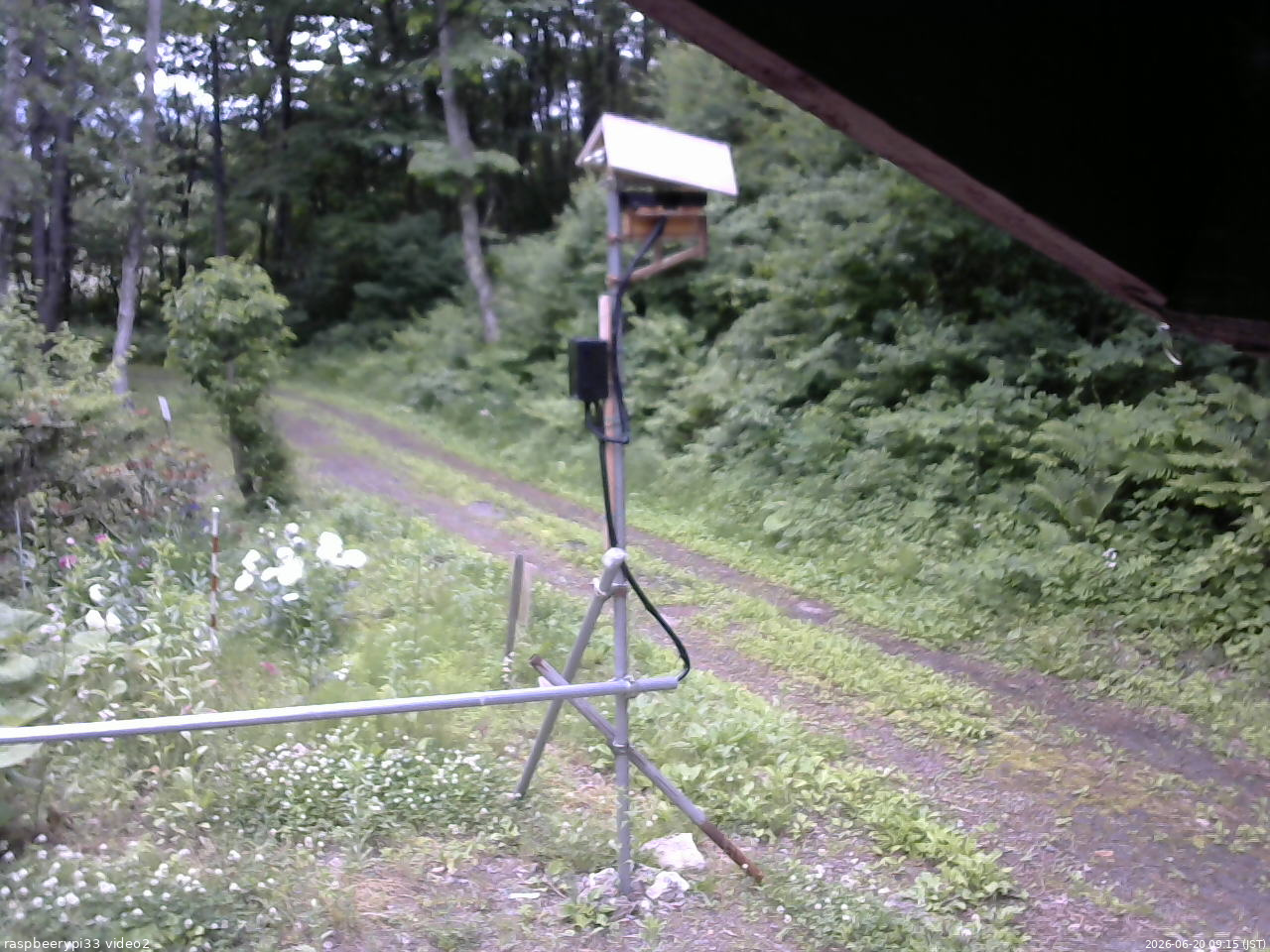 長野県菅平高原 ゆたか山荘 南側 2026/06/20 09:15