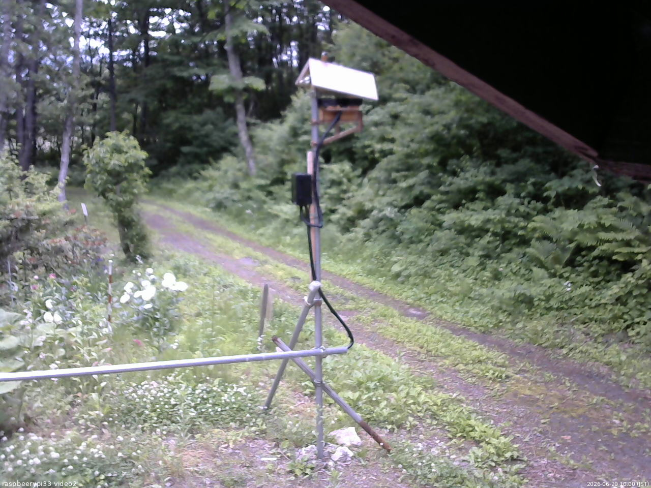 長野県菅平高原 ゆたか山荘 南側 2026/06/20 10:00
