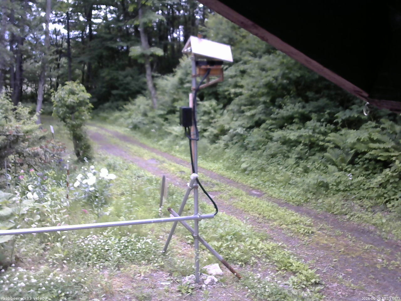 長野県菅平高原 ゆたか山荘 南側 2026/06/20 10:15