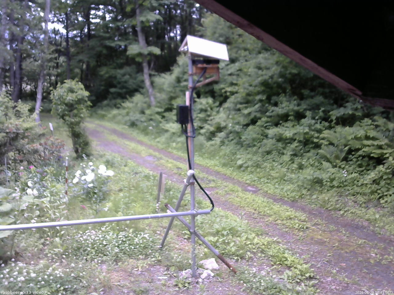長野県菅平高原 ゆたか山荘 南側 2026/06/20 10:45