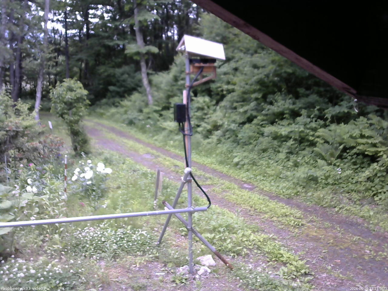 長野県菅平高原 ゆたか山荘 南側 2026/06/20 11:15