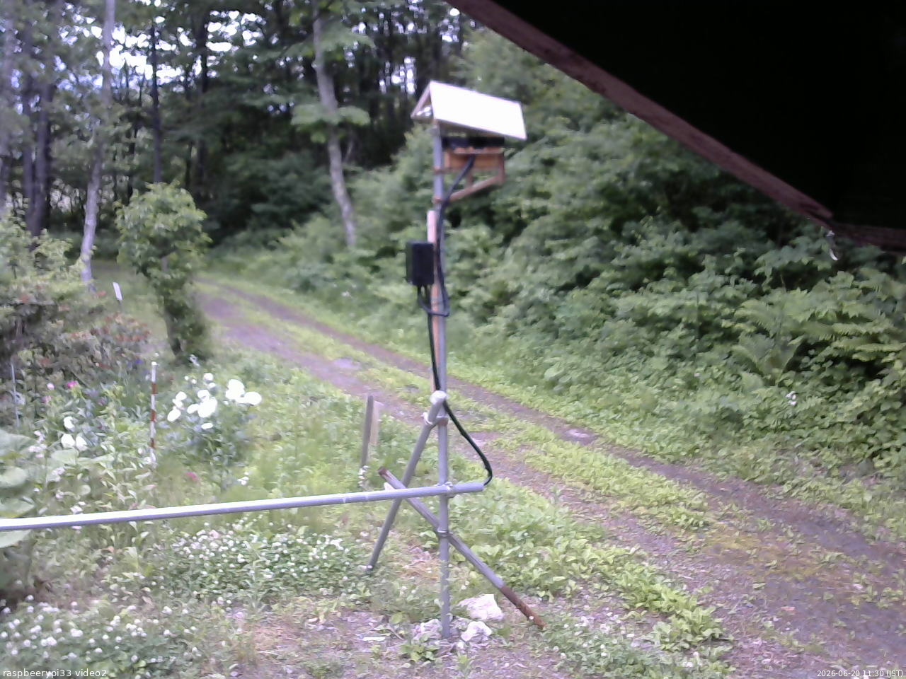 長野県菅平高原 ゆたか山荘 南側 2026/06/20 11:30