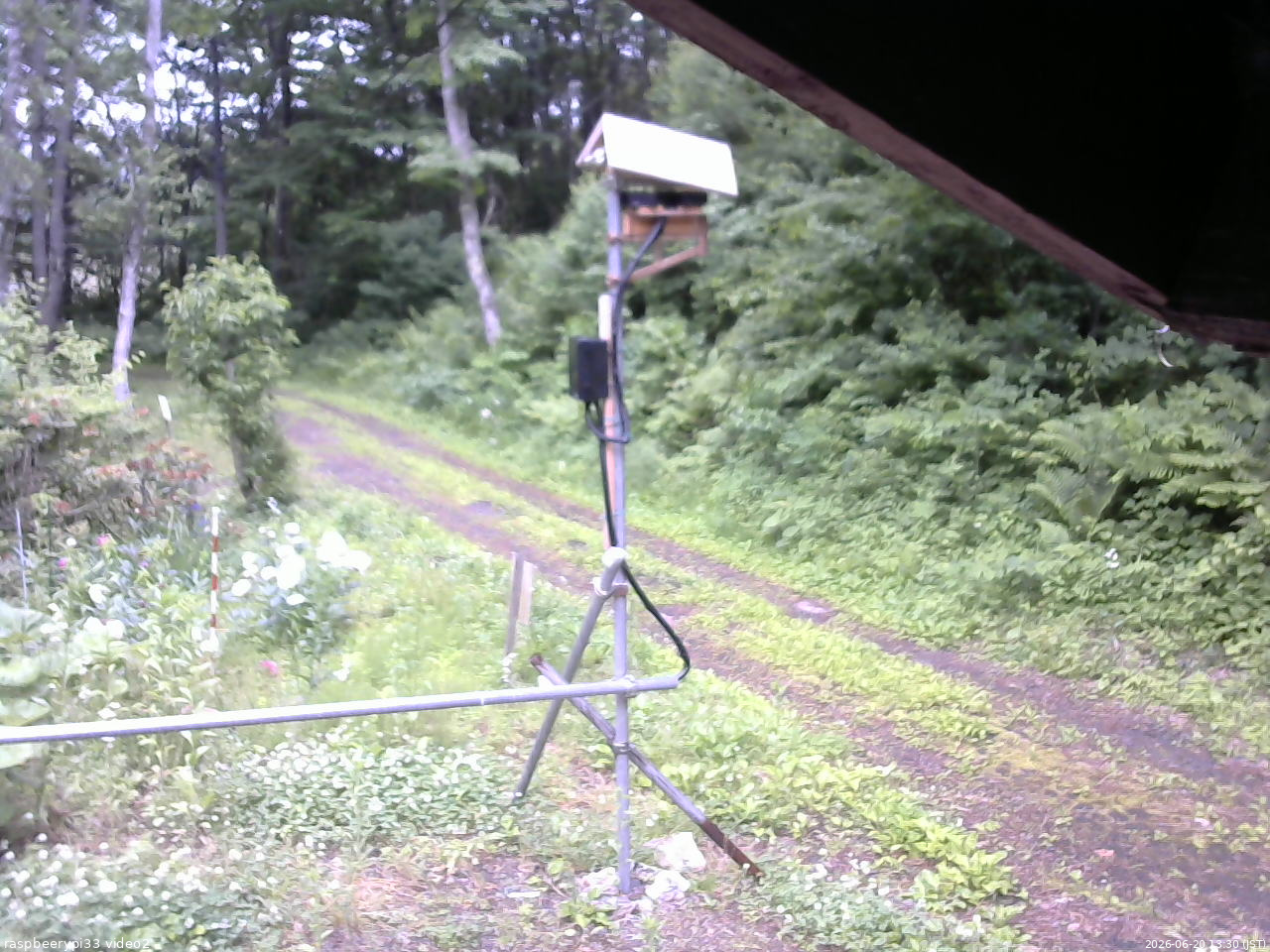 長野県菅平高原 ゆたか山荘 南側 2026/06/20 13:30