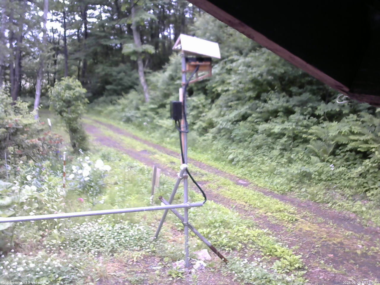 長野県菅平高原 ゆたか山荘 南側 2026/06/20 14:15