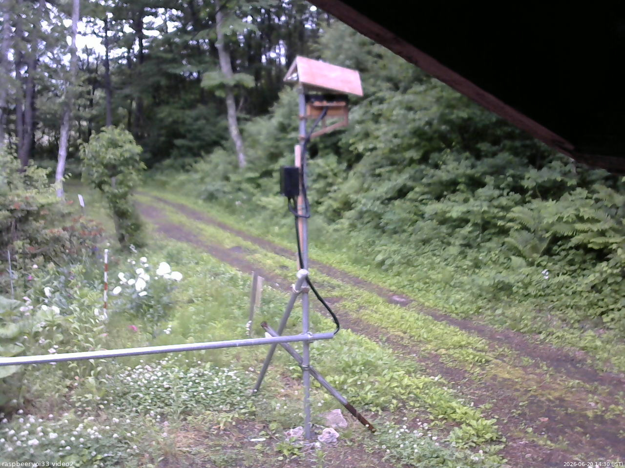 長野県菅平高原 ゆたか山荘 南側 2026/06/20 14:30