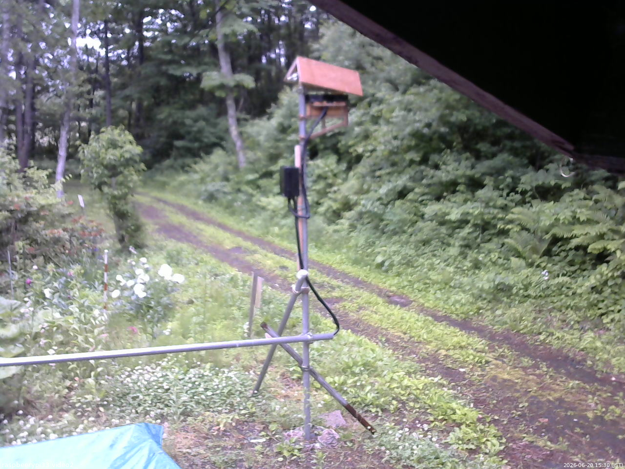 長野県菅平高原 ゆたか山荘 南側 2026/06/20 15:30
