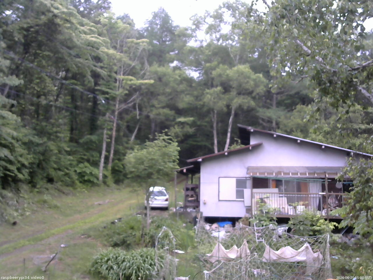 長野県菅平高原 ゆたか山荘 西側(坂上) 2026/06/20 05:00