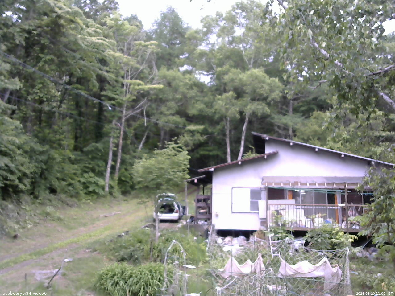 長野県菅平高原 ゆたか山荘 西側(坂上) 2026/06/20 11:00