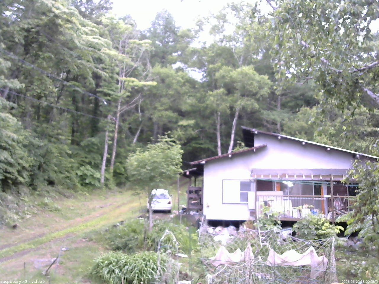 長野県菅平高原 ゆたか山荘 西側(坂上) 2026/06/20 15:00