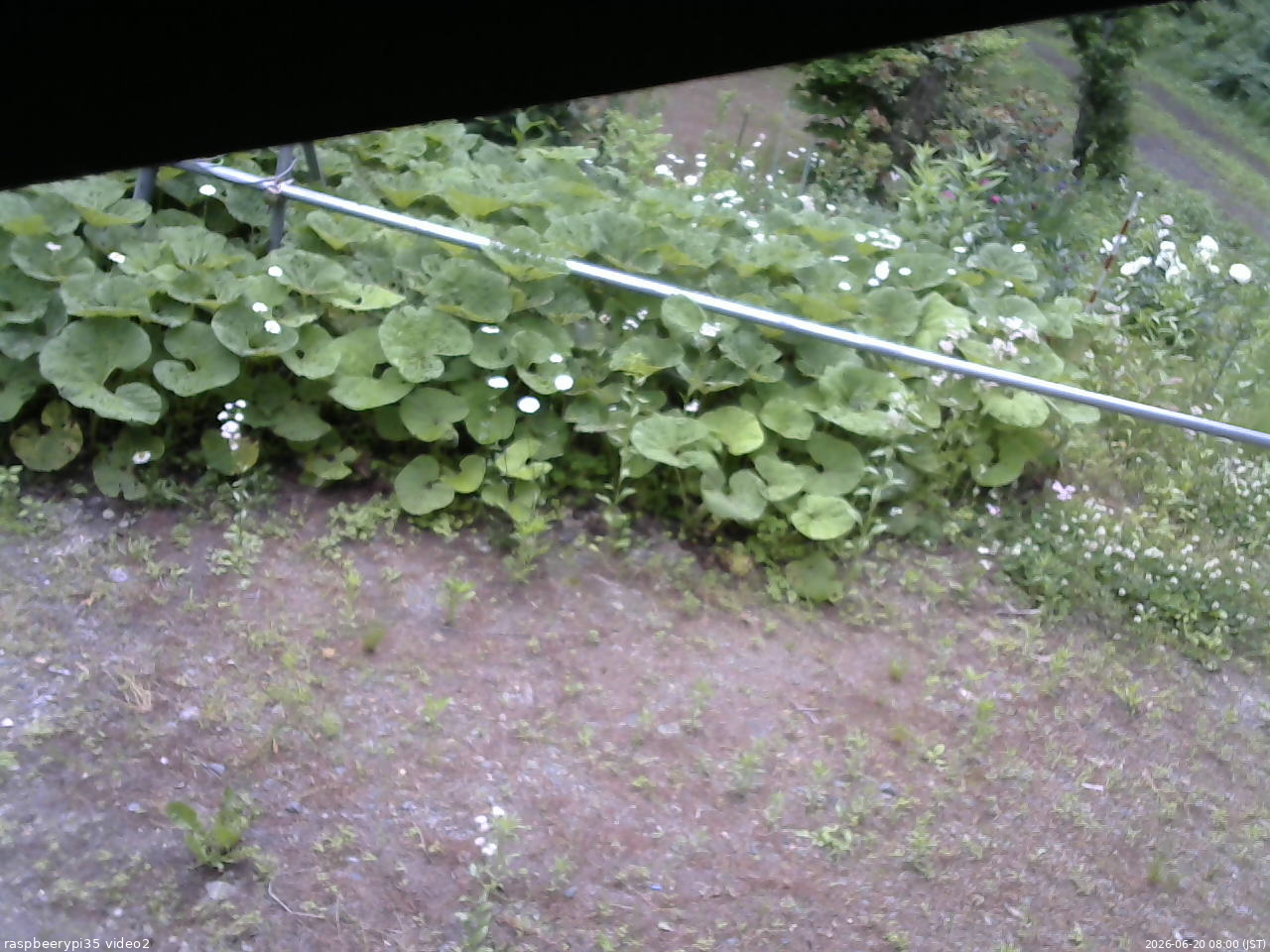 長野県菅平高原 ゆたか山荘 駐車場 2026/06/20 08:00