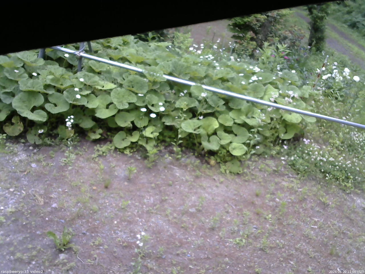 長野県菅平高原 ゆたか山荘 駐車場 2026/06/20 11:00