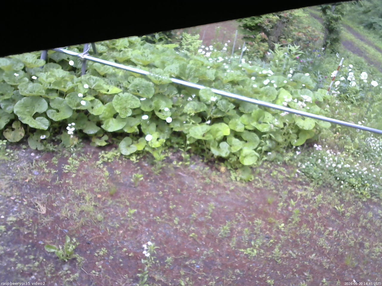 長野県菅平高原 ゆたか山荘 駐車場 2026/06/20 14:45