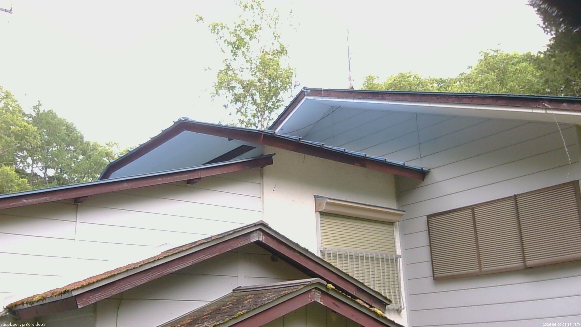 長野県菅平高原 ゆたか山荘 駐車場奥 2026/06/20 06:15