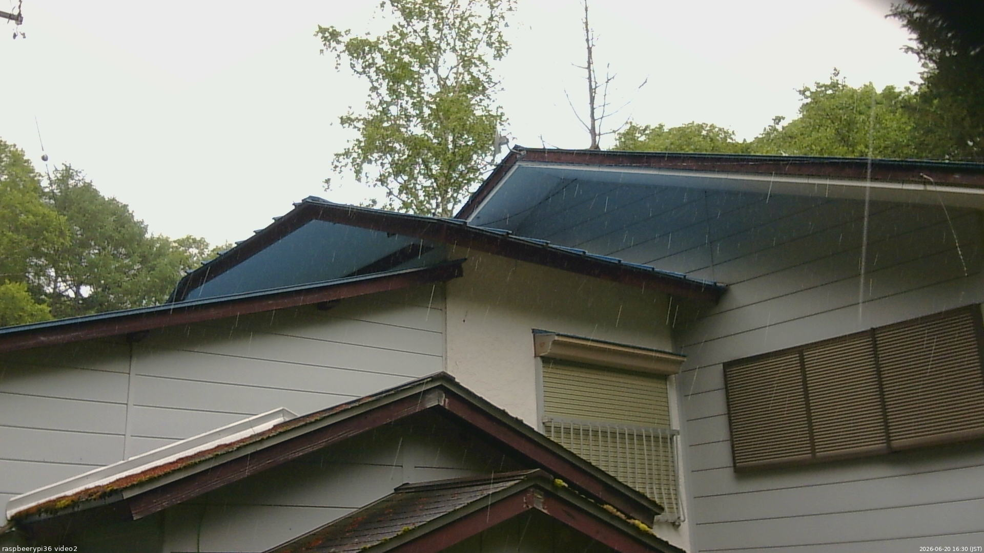 長野県菅平高原 ゆたか山荘 駐車場奥 2026/06/20 16:30