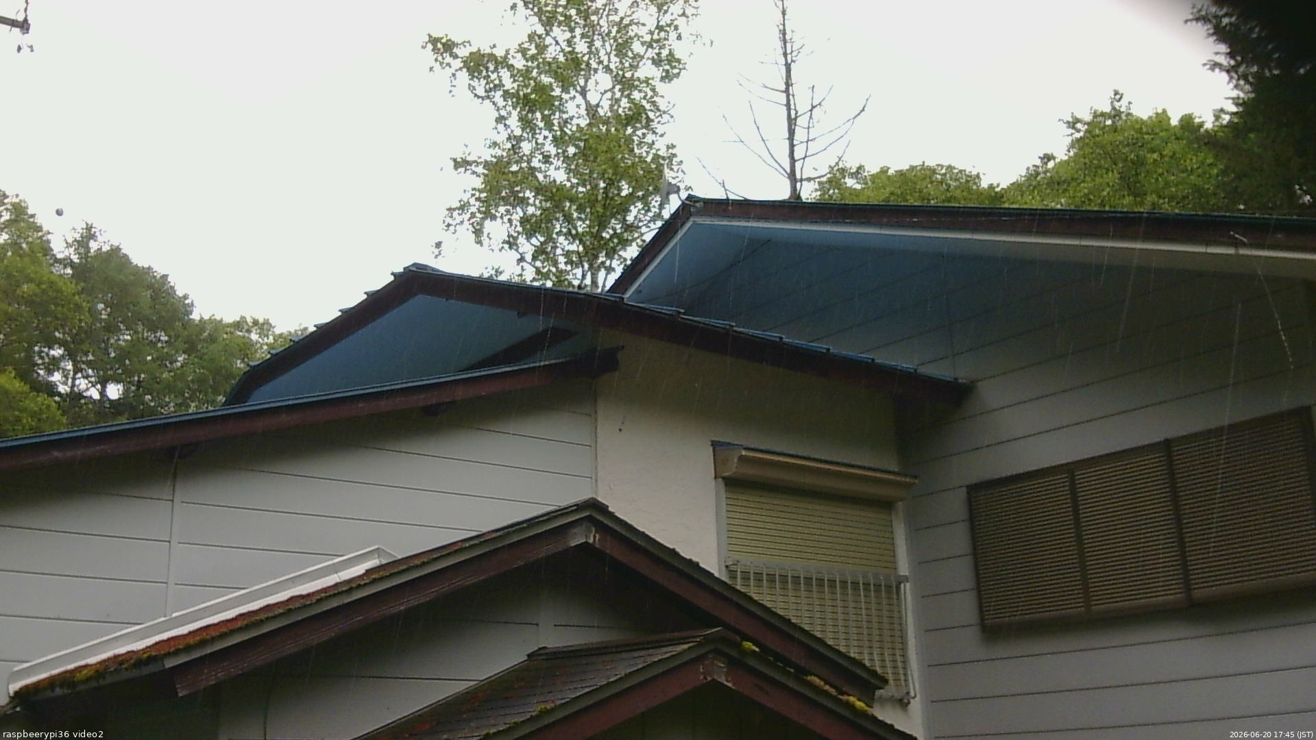 長野県菅平高原 ゆたか山荘 駐車場奥 2026/06/20 17:45