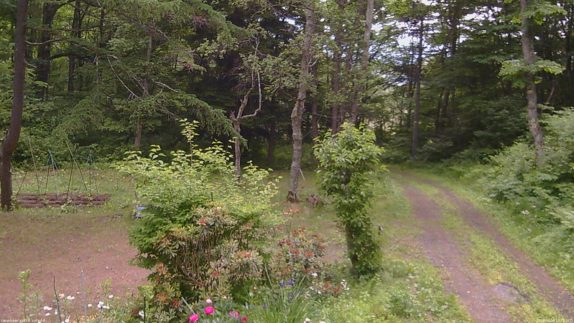 長野県菅平高原 ゆたか山荘 坂上 2026/06/20 10:15