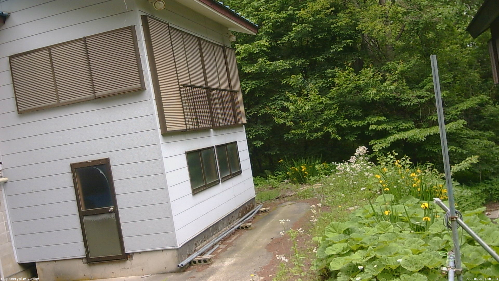 長野県菅平高原 ゆたか山荘 坂下 2026/06/20 11:00