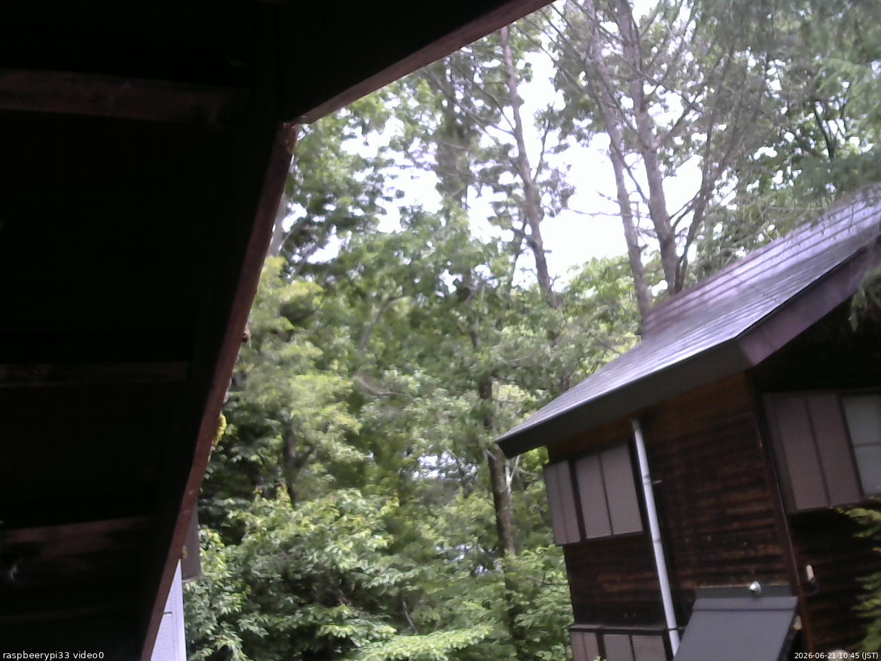 長野県菅平高原 ゆたか山荘 北側 2026/06/21 10:45
