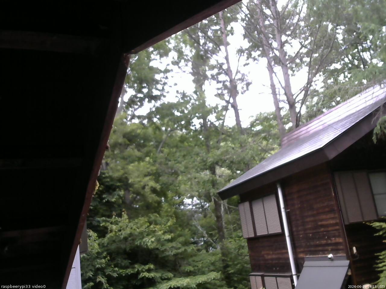 長野県菅平高原 ゆたか山荘 北側 2026/06/21 14:15