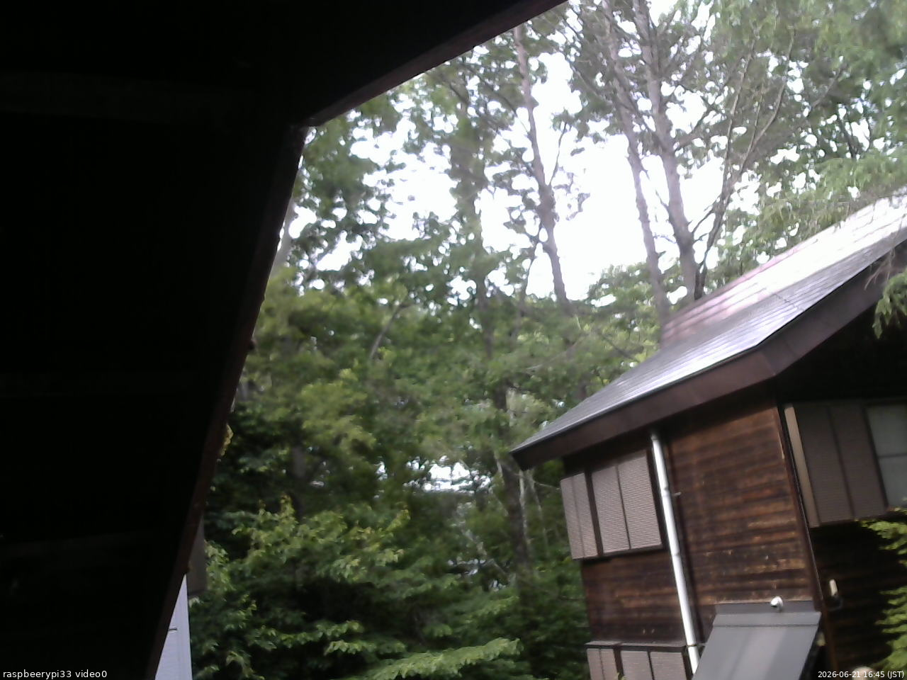 長野県菅平高原 ゆたか山荘 北側 2026/06/21 16:45