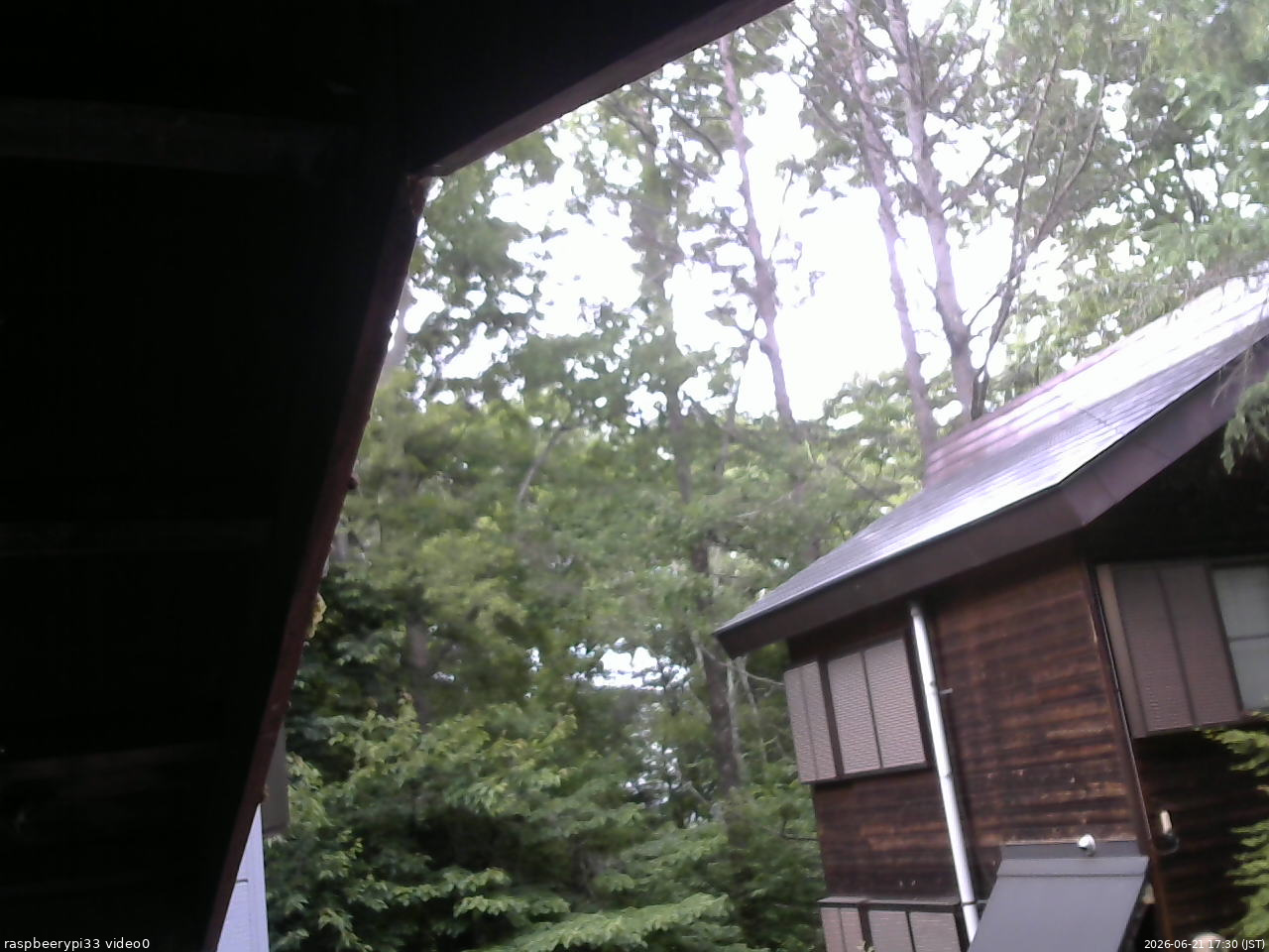 長野県菅平高原 ゆたか山荘 北側 2026/06/21 17:30