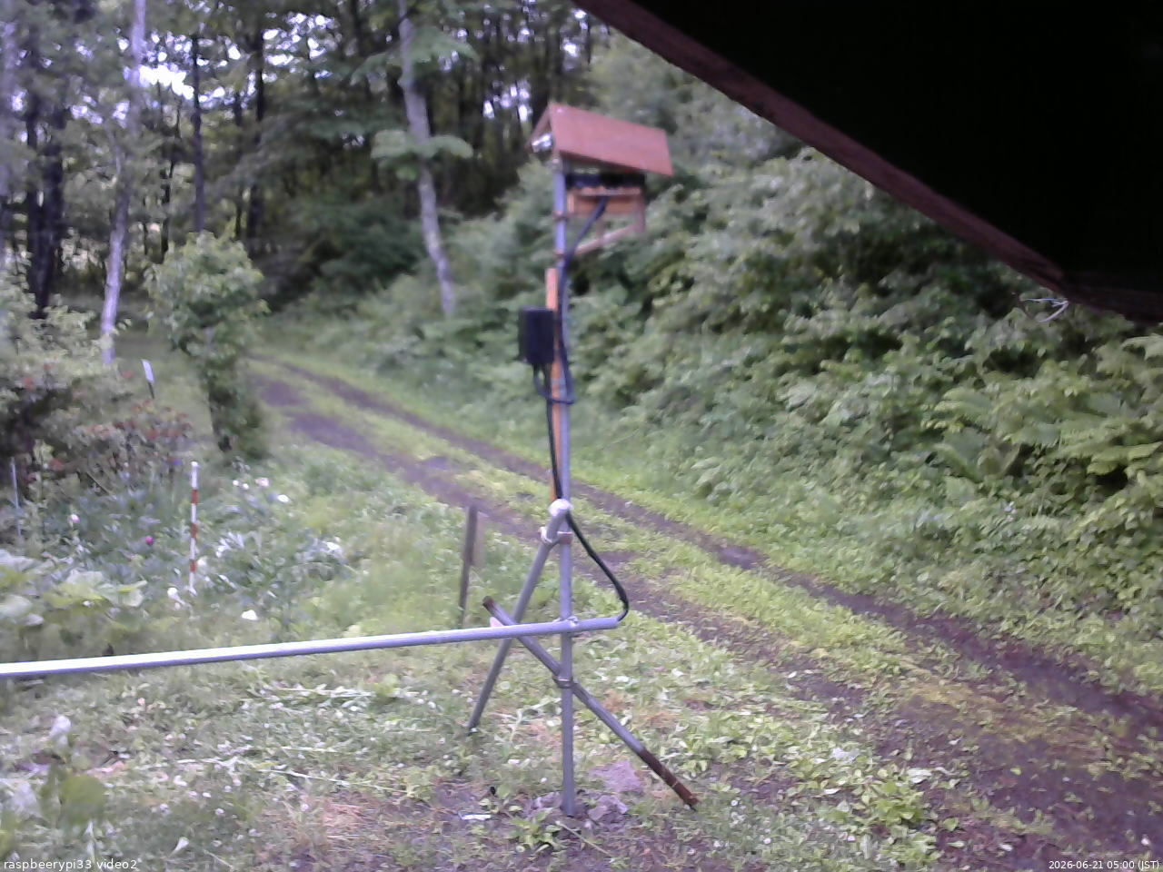 長野県菅平高原 ゆたか山荘 南側 2026/06/21 05:00