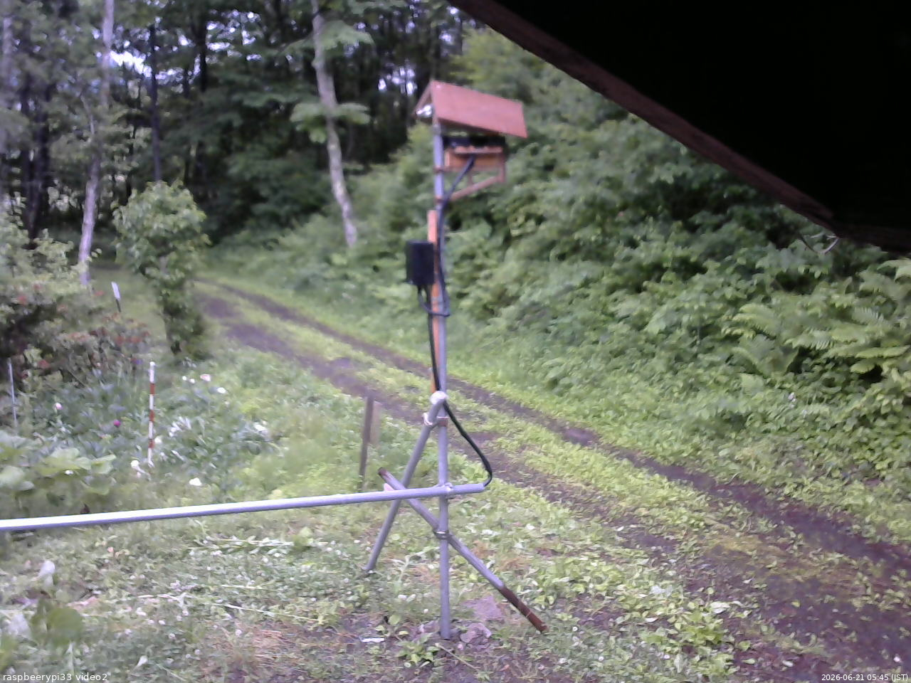 長野県菅平高原 ゆたか山荘 南側 2026/06/21 05:45