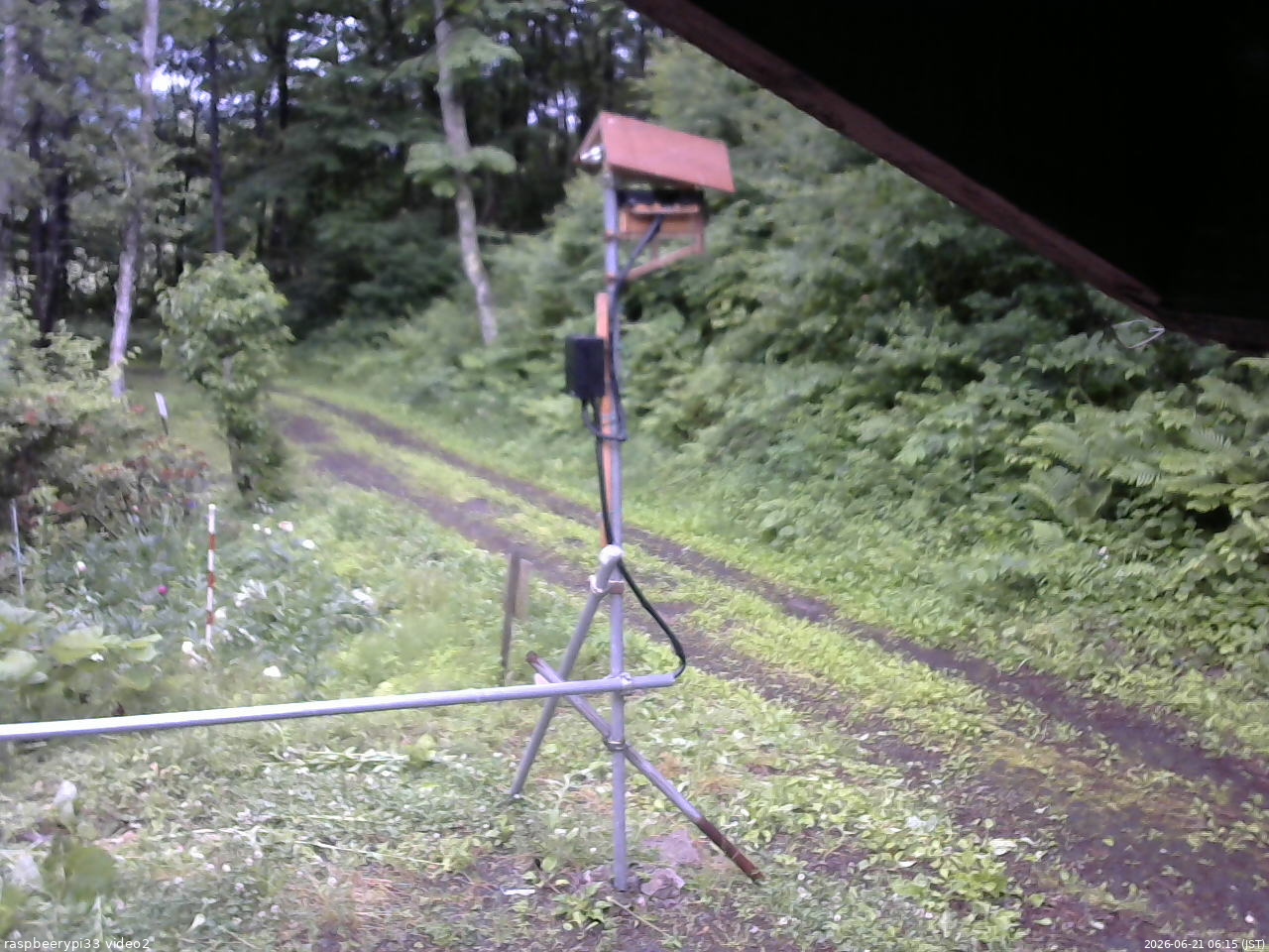 長野県菅平高原 ゆたか山荘 南側 2026/06/21 06:15