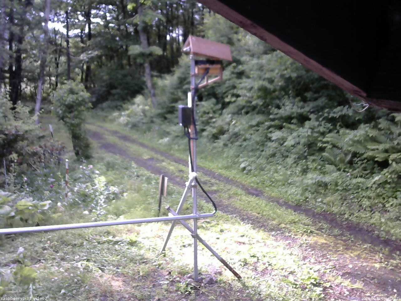 長野県菅平高原 ゆたか山荘 南側 2026/06/21 06:45
