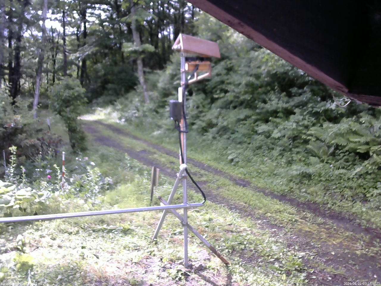 長野県菅平高原 ゆたか山荘 南側 2026/06/21 07:15