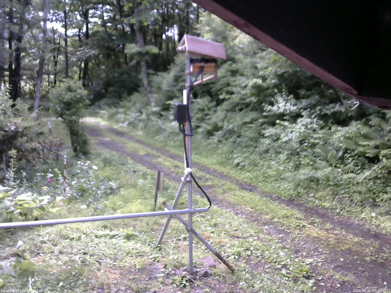 長野県菅平高原 ゆたか山荘 南側 2026/06/21 07:30