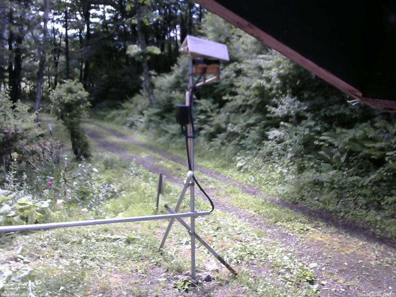 長野県菅平高原 ゆたか山荘 南側 2026/06/21 08:45