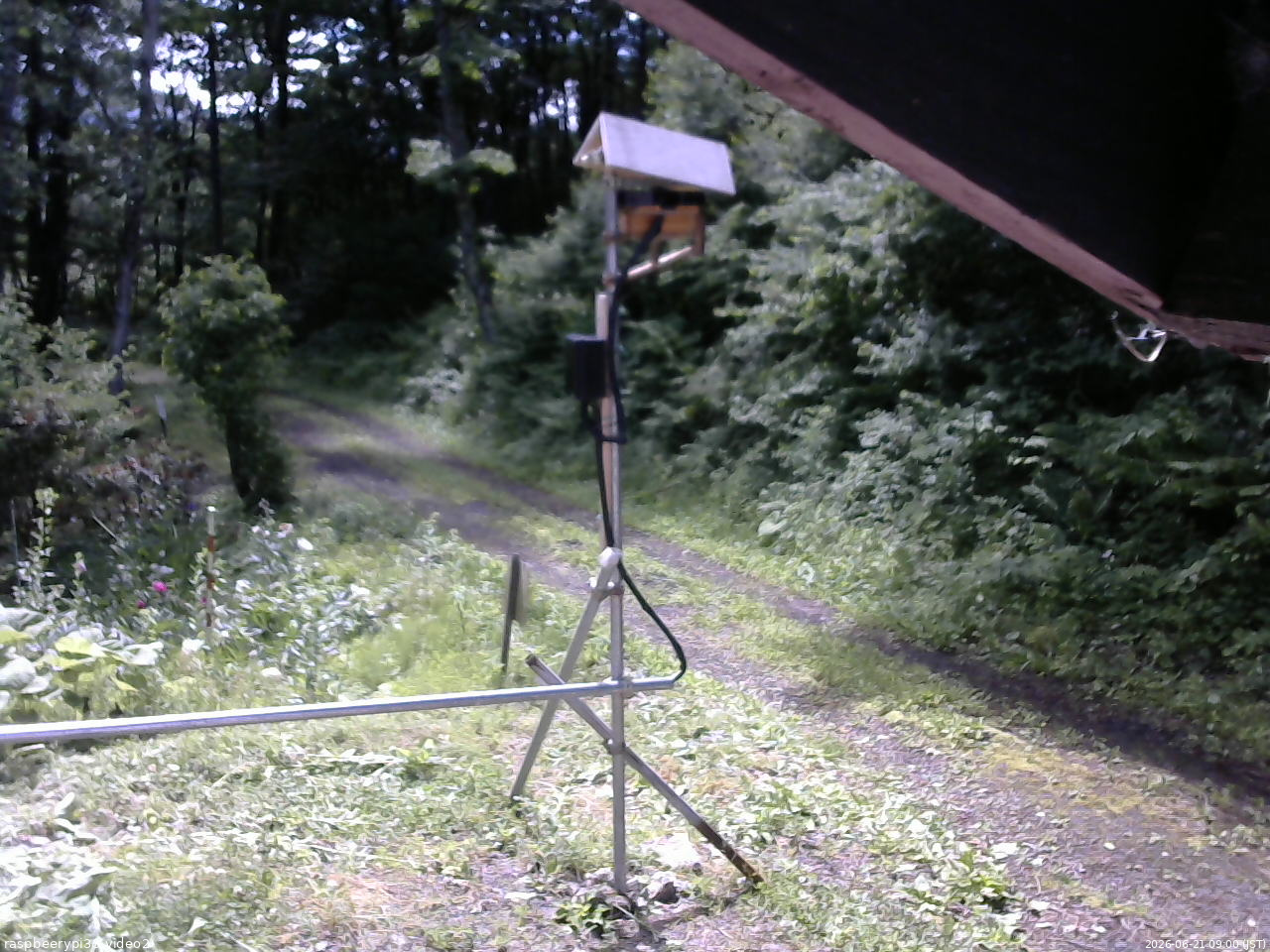 長野県菅平高原 ゆたか山荘 南側 2026/06/21 09:00