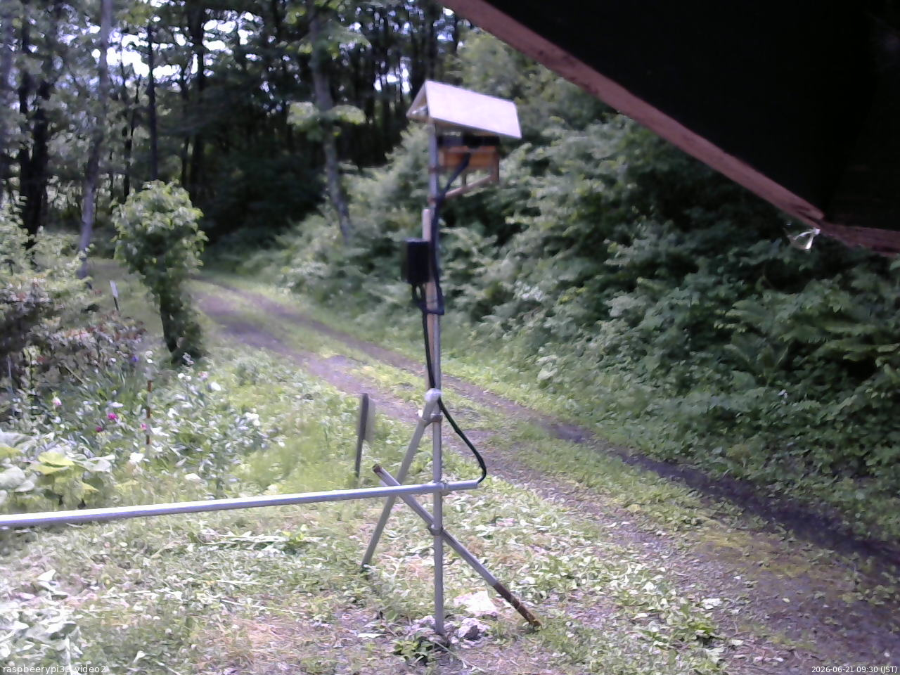 長野県菅平高原 ゆたか山荘 南側 2026/06/21 09:30