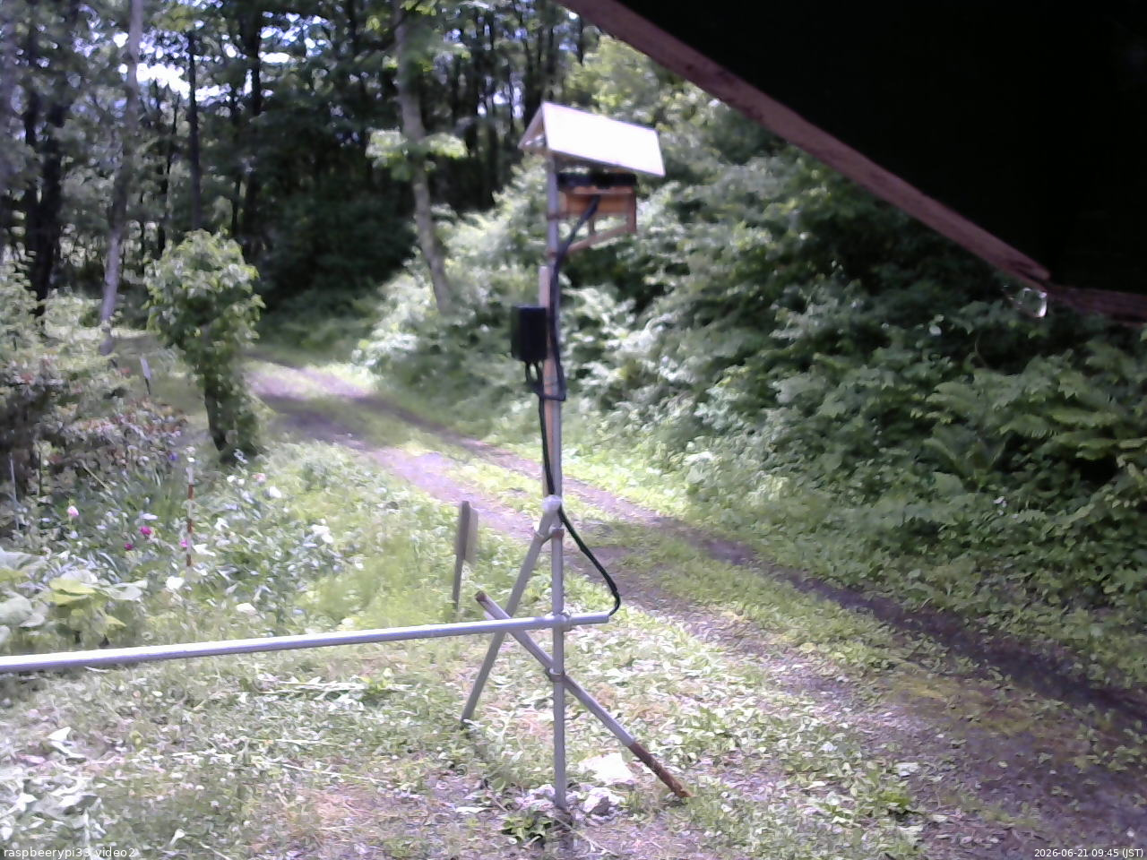長野県菅平高原 ゆたか山荘 南側 2026/06/21 09:45
